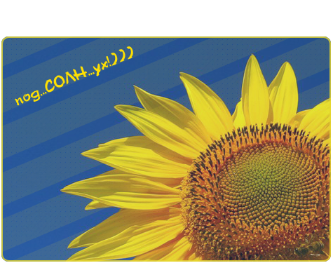  1 (475x375, 257Kb)