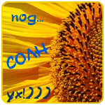  (150x150, 51Kb)
