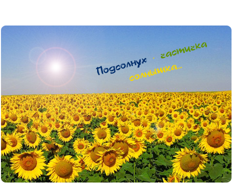  (475x375, 305Kb)