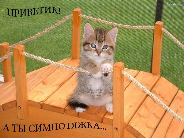 &_61 (600x450, 148Kb)