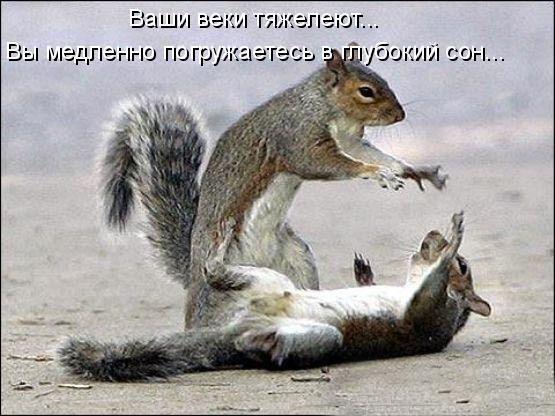 http://img1.liveinternet.ru/images/attach/c/0//48/368/48368222_belki_gipnoz.jpg