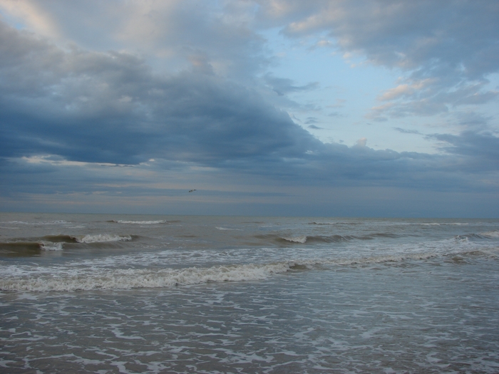 DSC02895 (700x525, 224Kb)