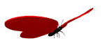  (150x75, 11Kb)