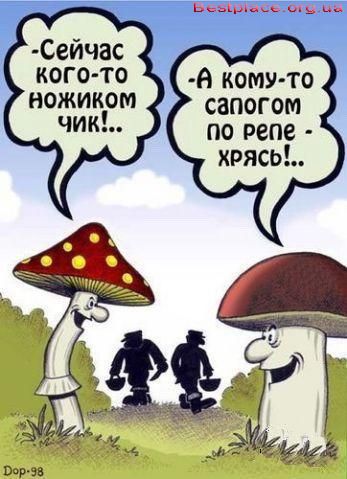  (347x479, 39Kb)