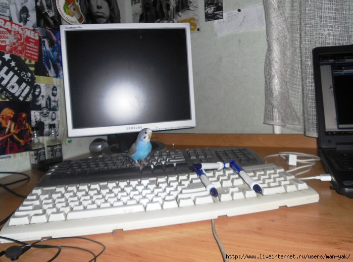  (699x519, 101Kb)