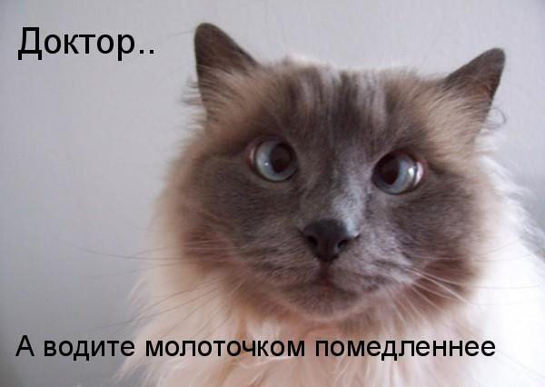 http://img1.liveinternet.ru/images/attach/c/0//51/844/51844311_008.jpg