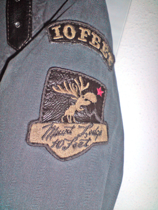 DSC01199 (525x700, 197Kb)