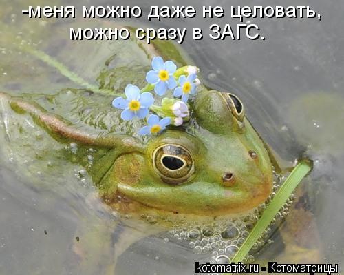 http://img1.liveinternet.ru/images/attach/c/0//51/911/51911251_30e32b4eba82196a252c03f93e1e4a5c.jpg