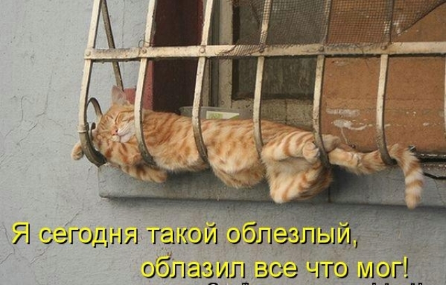 http://img1.liveinternet.ru/images/attach/c/0//52/182/52182146_424474.jpg