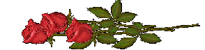 (294x72, 16Kb)