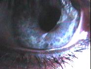  (185x140, 5Kb)