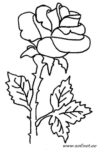 Раскраска-склейка Chameleon Flowers Цветы