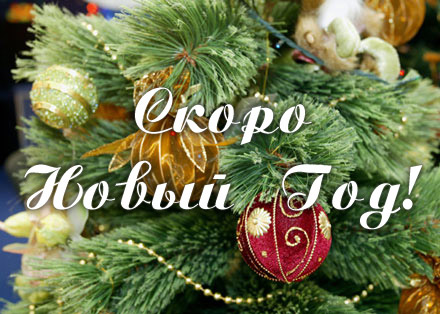 http://img1.liveinternet.ru/images/attach/c/0//52/887/52887222_new_year.jpg