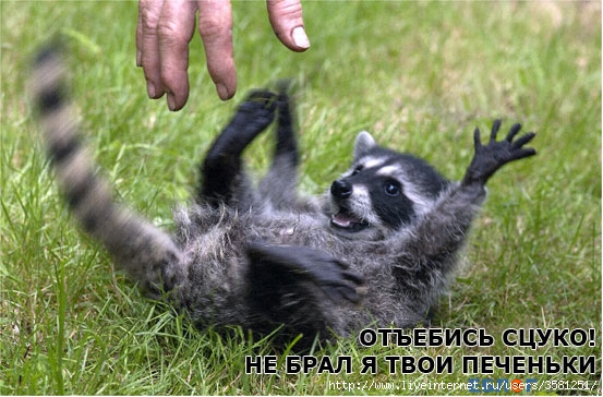  (553x364, 71Kb)