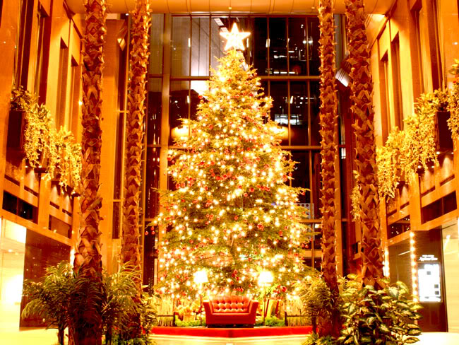 beautiful_christmas_tree_pictures_1 (650x488, 121Kb)