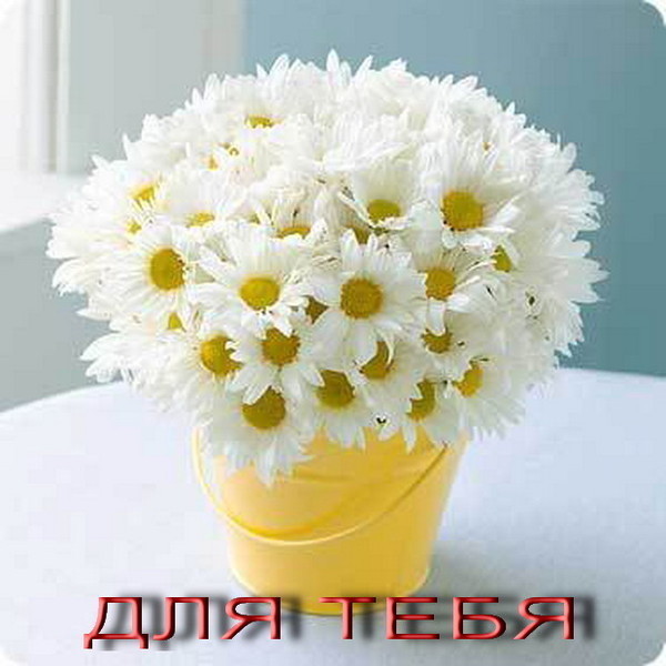  (600x600, 67Kb)