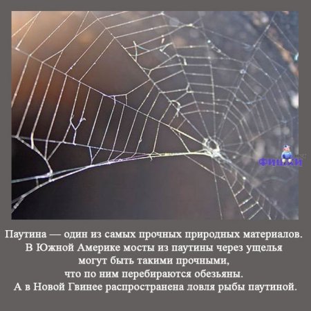  (450x450, 41Kb)