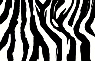 zebra-pattern (314x203, 11Kb)