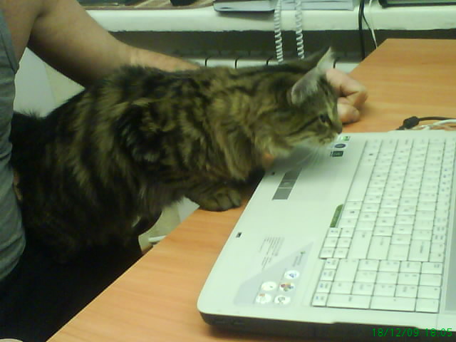 DSC01382 (640x480, 53Kb)