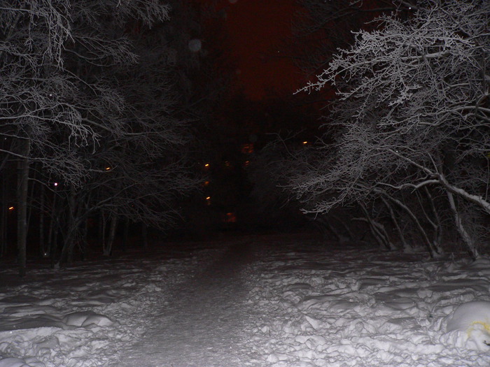  (700x525, 126Kb)