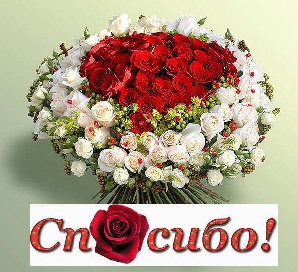 54989553_spasibo9 (600x546, 107 Kb)