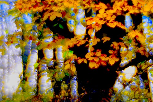  (500x332, 72Kb)