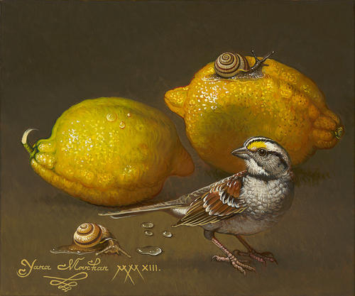 Lemons with Bird June 2013 (500x417, 150Kb)