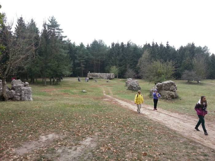 Ставка вервольф в виннице фото