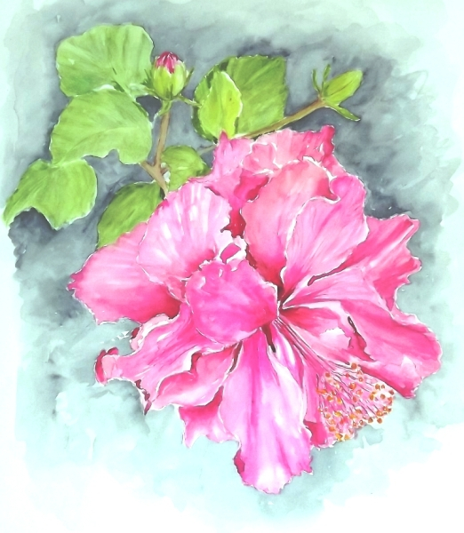 hibiscus (522x600, 309Kb)