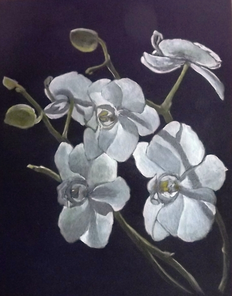 Orchidwhite (471x600, 229Kb)