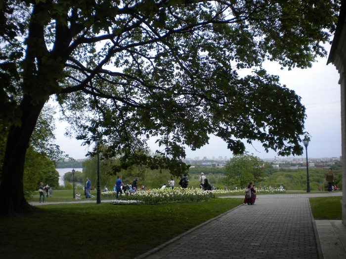 4878453_ko_054 (700x525, 356Kb)