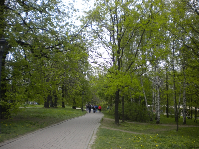 4878453_ko_076 (700x525, 369Kb)
