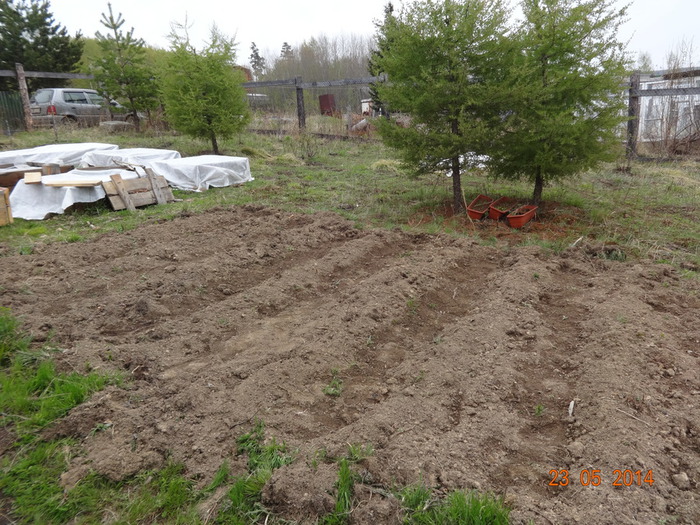 DSC02229 (700x525, 178Kb)