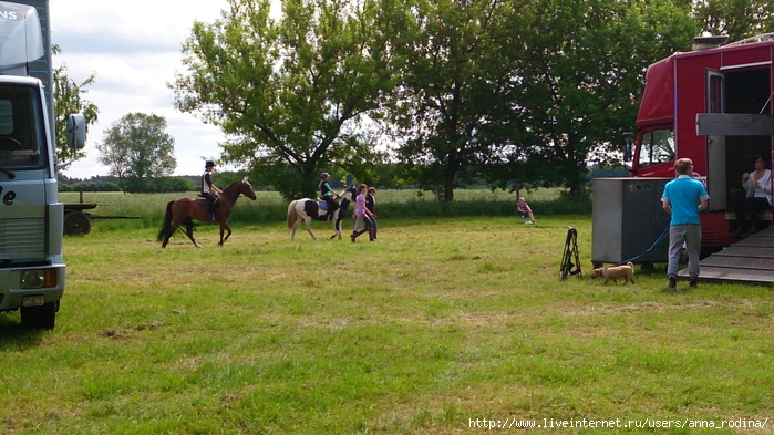 DSC_0529 (700x393, 303Kb)