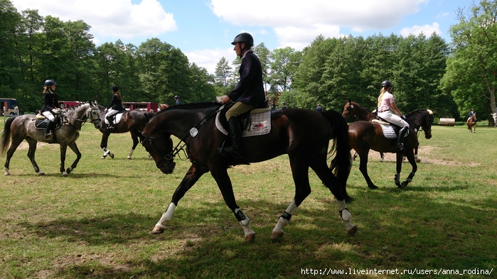 DSC_0551 (700x393, 301Kb)