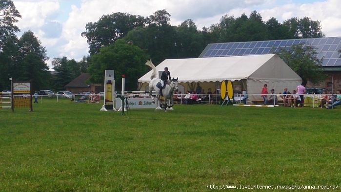 DSC_0618 (700x393, 254Kb)