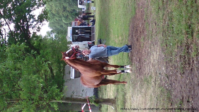 DSC_0649 (700x393, 296Kb)