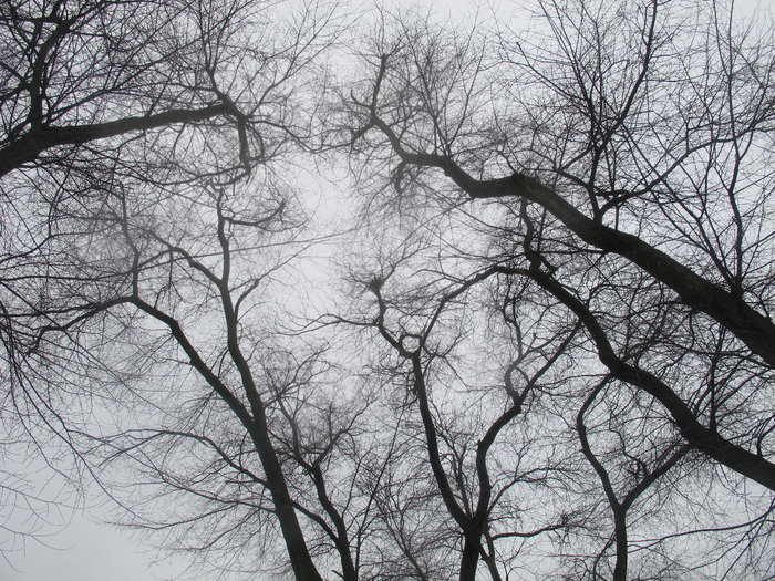  168 (700x525, 609Kb)