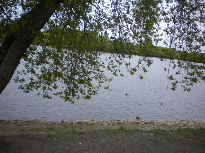 4878453_ko_104 (700x525, 344Kb)