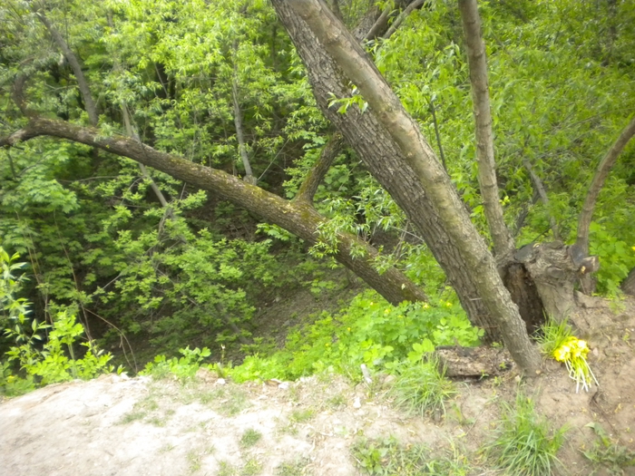 4878453_ko_159 (700x525, 355Kb)