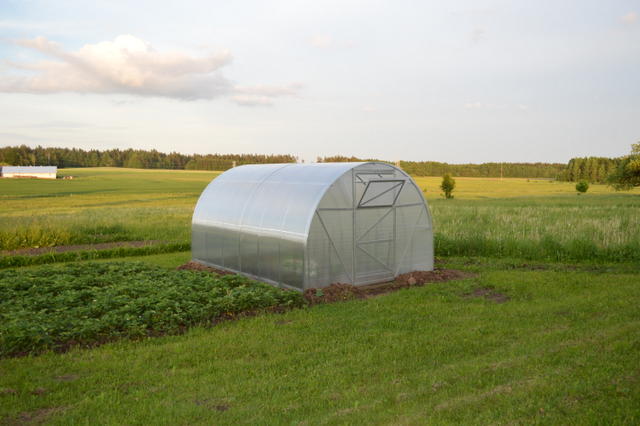 DSC_0123 (640x426, 43Kb)