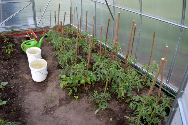 DSC_0124 (640x426, 72Kb)