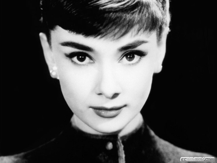 1152630696_1024x768_audrey-hepburn (700x525, 36Kb)