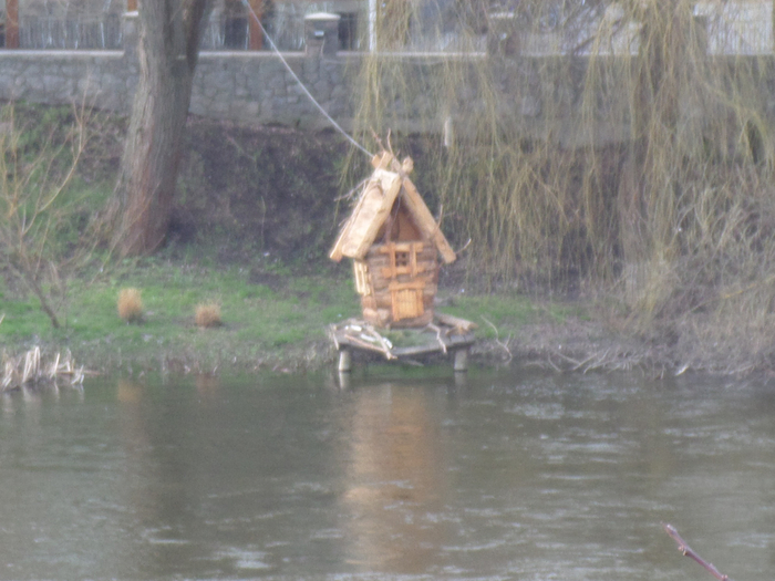 SAM_0220 (700x525, 368Kb)