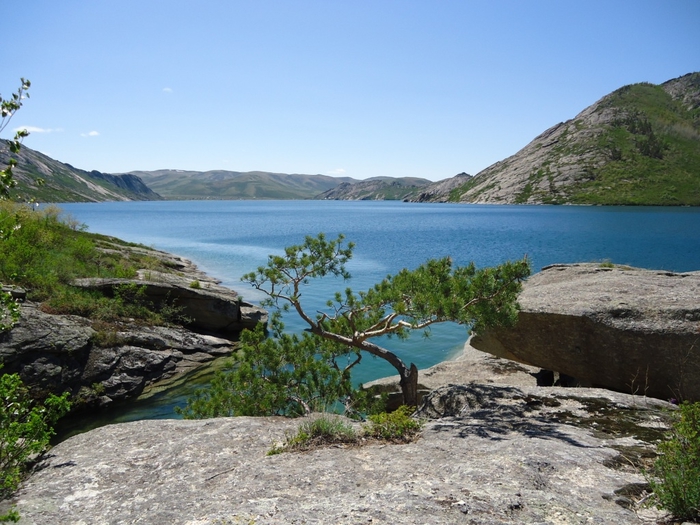 DSC01985 (700x525, 292Kb)