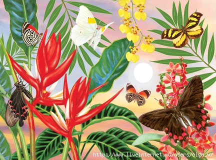 Butterflies And Red Christmas Heliconia72 (432x320, 168Kb)