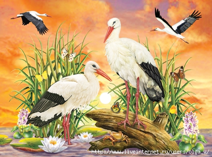 Storks72 (432x320, 153Kb)