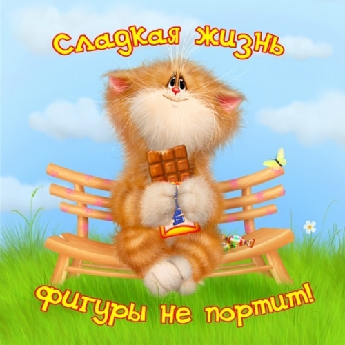 4497417_1316922932_www_nevsepic_com_ua_kotsshokoladkoy (500x500, 170Kb)
