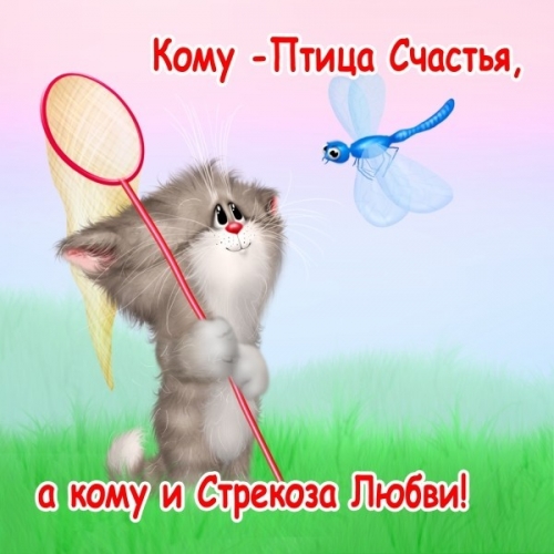 4497417_1316922965_www_nevsepic_com_ua_kotikssachkom (500x500, 146Kb)