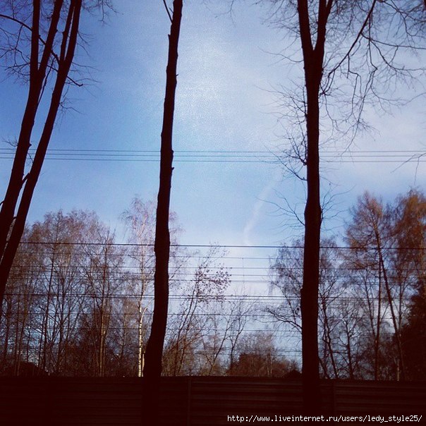 4052581_chXUghMVyjU (604x604, 238Kb)